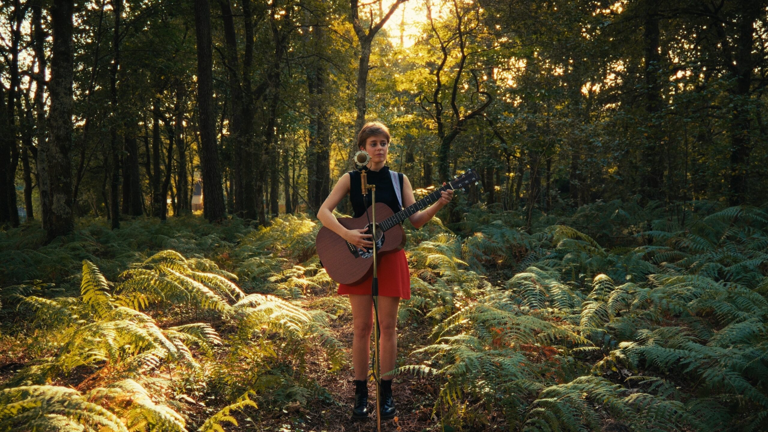 Still 2026-02-23 155051_1.3.1