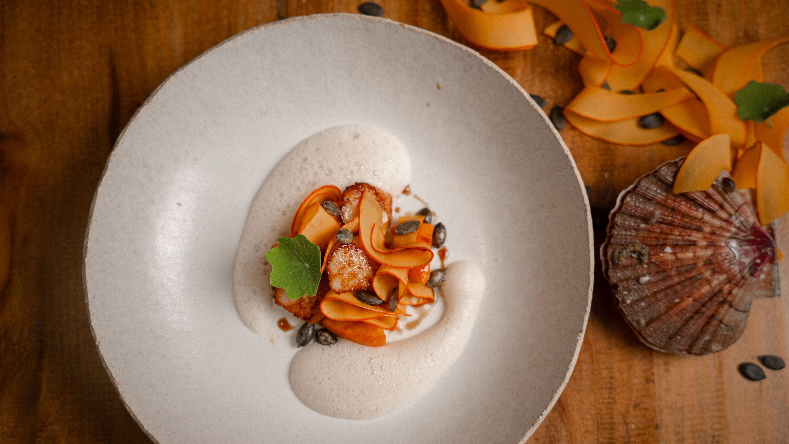 Still 2026-02-23 155051_1.5.1